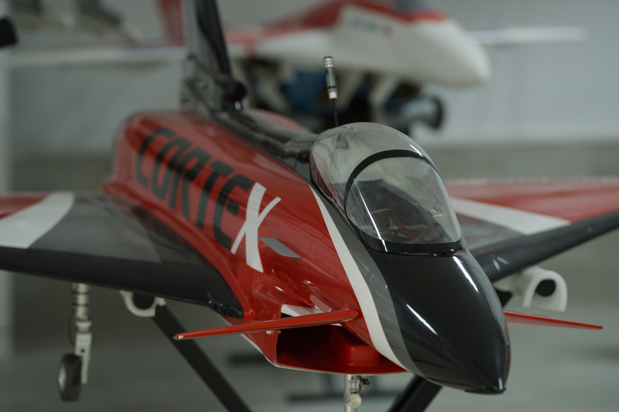 pilots and rc planes