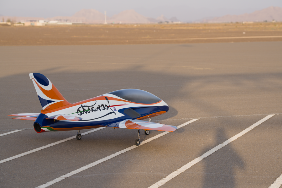 pilots and rc planes